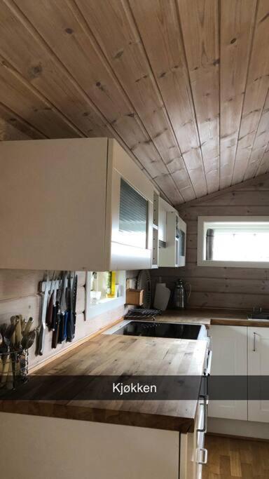 Koselig Familiehytte Pa Vakre Dagali - Naer Geilo Exteriér fotografie