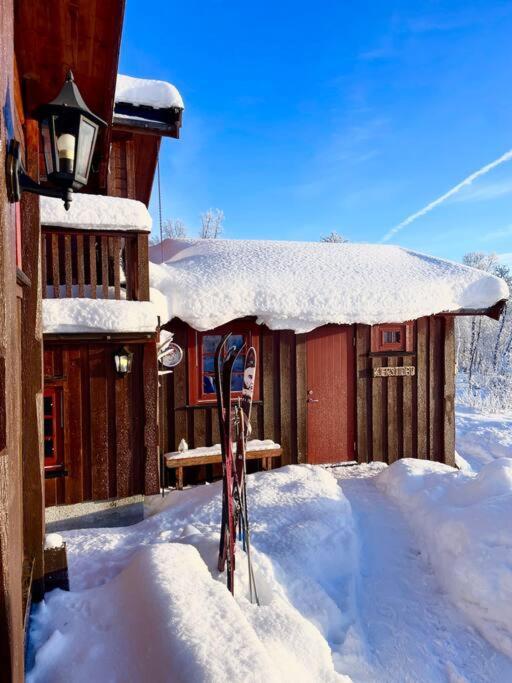 Koselig Familiehytte Pa Vakre Dagali - Naer Geilo Exteriér fotografie